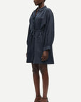 Sathistle dress