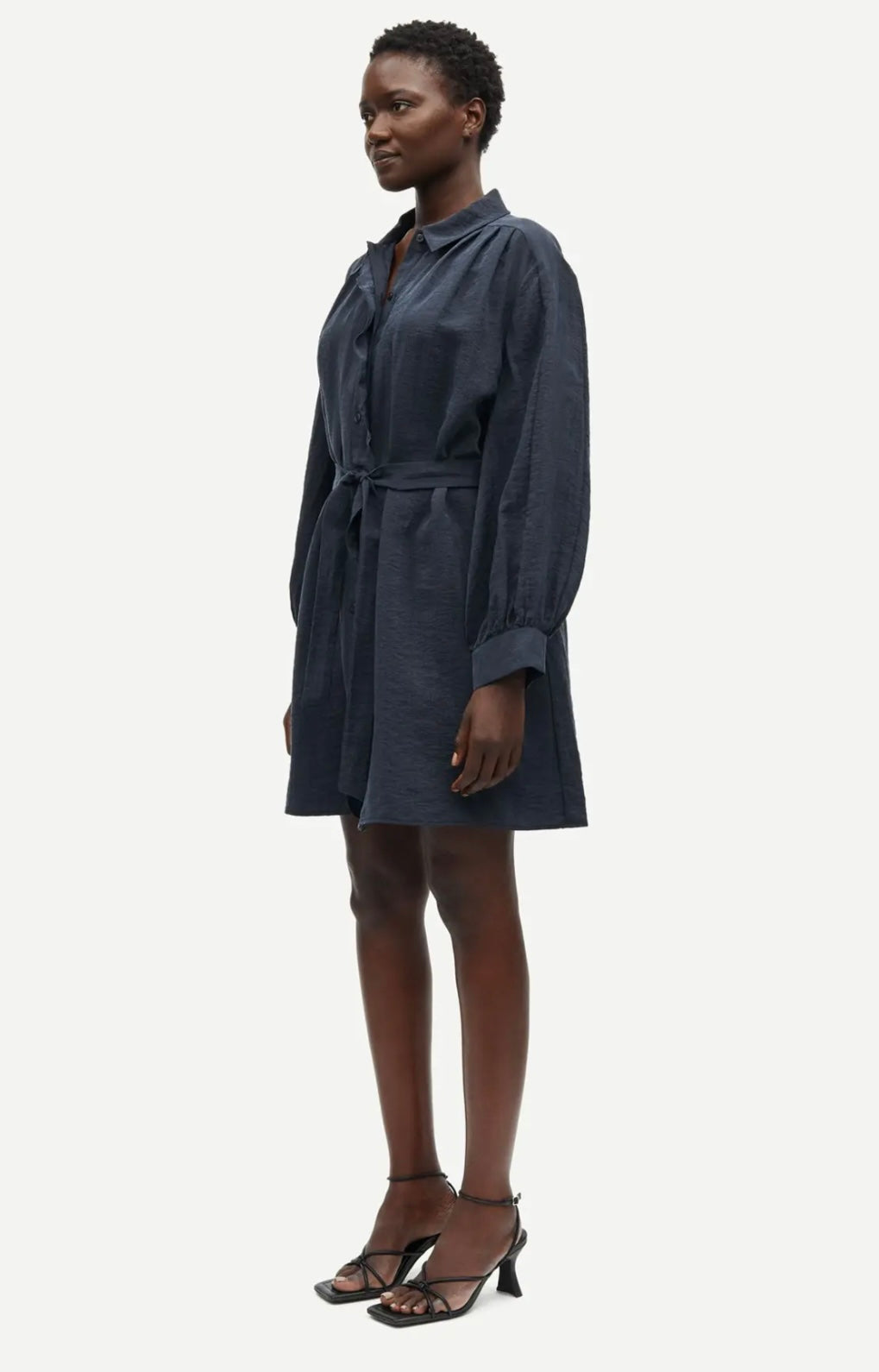 Sathistle dress