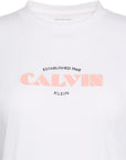 Classic Resort Calvin logo SS te - Calvin Klein